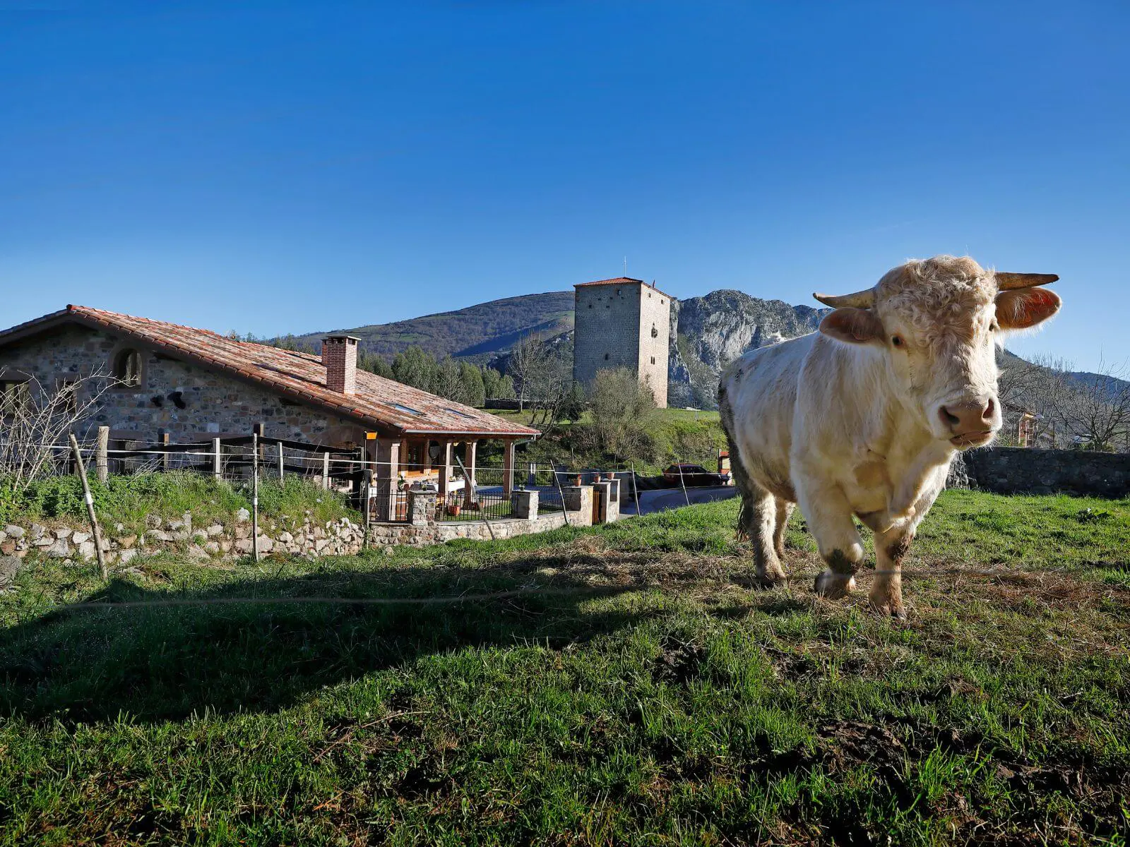 Paisaje verde del valle del Nansa en Cantabria, entorno de las casas rurales