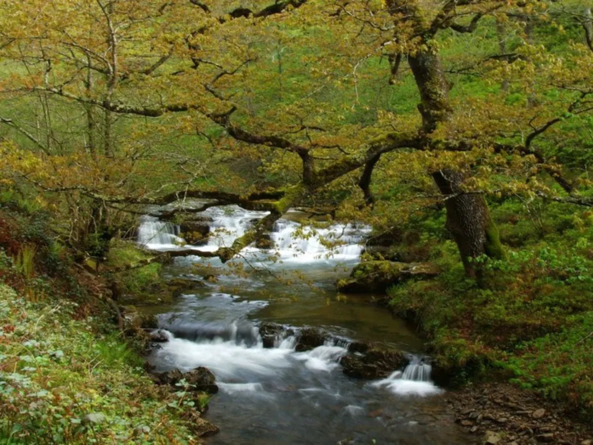 Paisaje rural tradicional de Cantabria, con prados y montaña